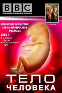 Сериал BBC: Тело человека (1998)