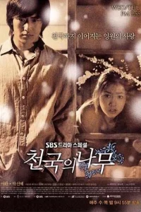 Сериал Райское дерево (2006)