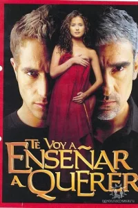 Сериал Я научу тебя любить (2004)