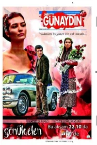 Сериал Разбивающая сердца (2010)