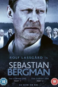 Сериал Себастьян Бергман (2010)