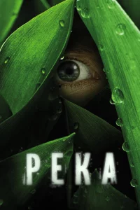 Сериал Река (2012)