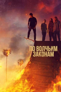 Сериал По волчьим законам (2016)