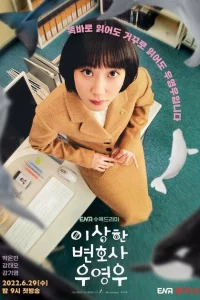 Сериал Необычный адвокат (2022)