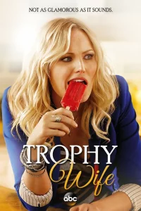 Сериал Третья жена (2013)